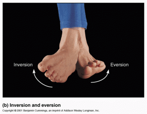 Ankle Inversion