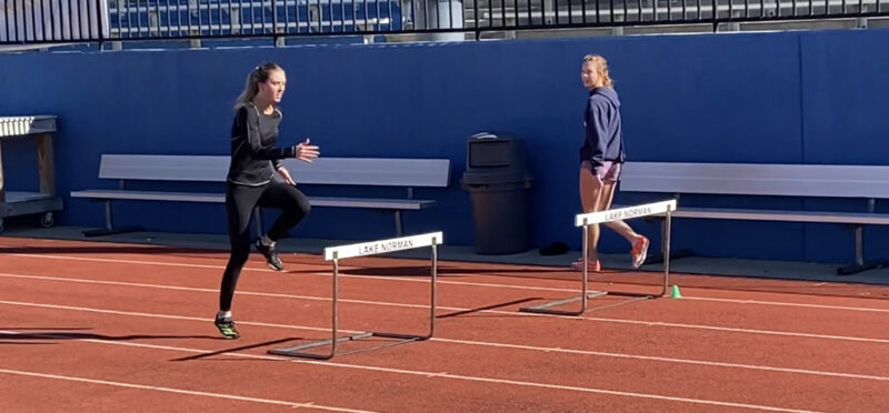 Back Forths over One Hurdle Workout Hurdles First Back Forths over One Hurdle Workout Hurdles First