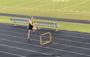 Take-off Distance and Stride Pattern in the Long Hurdles