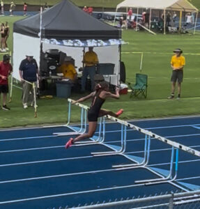 In the Long Hurdles, Do What Works Best for You In the Long Hurdles, Do What Works Best for You
